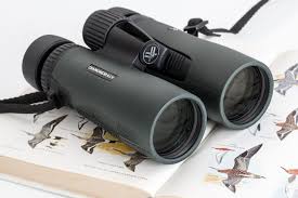 A Complete Guide To Buying The Best Binoculars For Birding
