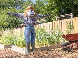 how to make a scarecrow for your garden