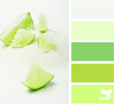 Best Paint Colors For Your Home Mint