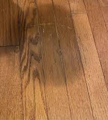 mold hiding under your wooden flooring