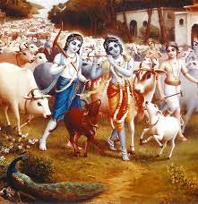 Download Krishna with cows ...