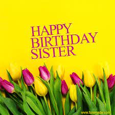 Happy birthday gifs for your dear sister. Beautiful Colorful Tulips Happy Birthday Sister Gif Download On Funimada Com