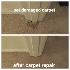 expert carpet repair carpet dyeing