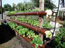 Diy Hydroponic Garden Tower Using Pvc Pipes