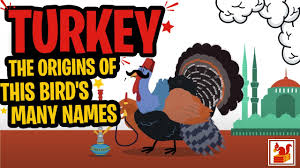 We may earn commission from links on this page, but we only recommend products we back. Turkey The Origins Of This Bird S Many Names In A Nutshell Youtube