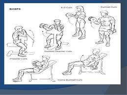 Develop Chest Shoulders Arm Back Triceps N Leg With Help