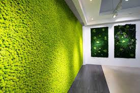 green moss wall rs 2500 square feet