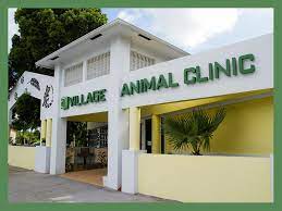 village clinic north palm
