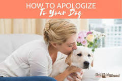 how-do-i-say-sorry-to-my-dog