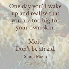 Image result for molt quotation