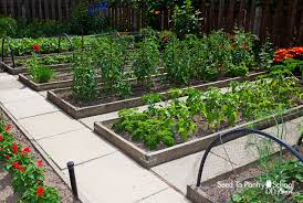 How To Build And Maintain Raised Beds