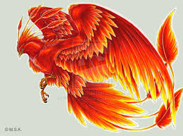 550 phoenix birds ideas phoenix bird