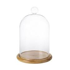 Glass Cloche Bell Jar Display Dome