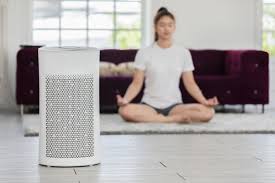 whole house air purifier cost