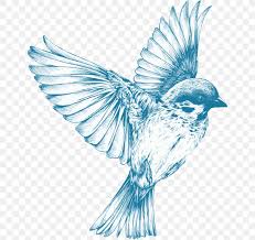 Some the pages have grid drawings, some are step by step, and some allow for free drawing. Bird Drawing For Girls Sketch Png 644x774px Bird Barn Swallow Beak Bird Flight Black And White
