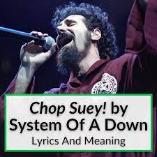 chop suey eaning system