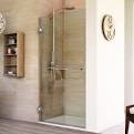 Custom frameless shower doors