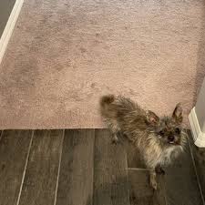 las vegas carpet repair cleaning 58