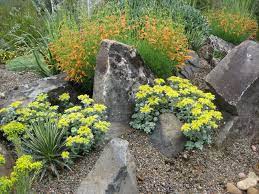 Native Plants For The Pacific Northwest