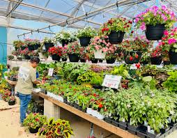 home a garden center duluth