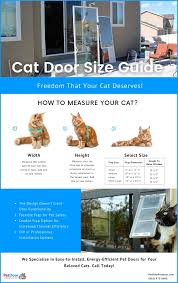 Best Cat Door For Sliding Glass Doors