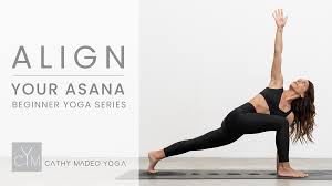 align your asana beginner yoga series