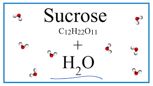 equation for c12h22o11 h2o sucrose