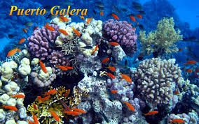 Image result for Puerto Galera (Oriental Mindoro) tourism