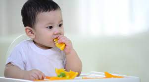 33+ thực đơn ăn dặm BLW cho bé 9 tháng tuổi giàu dinh dưỡng