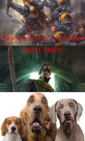 See, rate and share the best wolves memes, gifs and funny pics. Space Wolf Weakness Bath Time Warhammer 40k Memes Warhammer Art Warhammer 40k