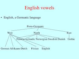 Ppt Spoken Language Phonetics Vowel Articulation