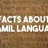 Facts about tamil language