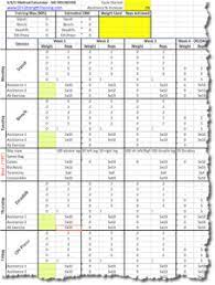 All of wendler's 531 spreadsheets zipped. 5 3 1 Workout Spreadsheet Workoutwalls