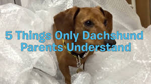 Docsend helps sales teams be more efficient by showing how and when prospects engage with sales content. Weinerdawg Posts Facebook