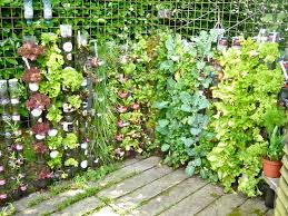 Recycled Items To Turn Your Backyard