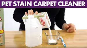 pet stain carpet cleaner day 3 31