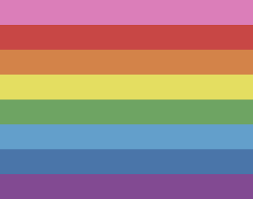 pride flag guide pride flags and their