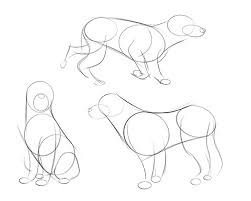 Learning how to draw dogs is fun and a great way to practice drawing animals. How To Draw Dogs Art Rocket