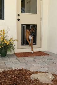Dog Door Installation Tips Hot Blog