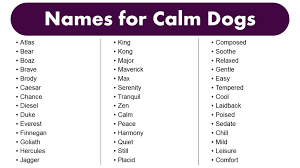 good names for calm dogs best calm