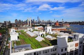 Green Infrastructure Initiative To