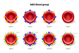 the rarest blood types in the world