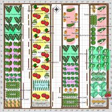 vegetable garden layout plan