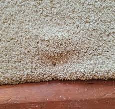 carpet repair melbourne 0488 851 508