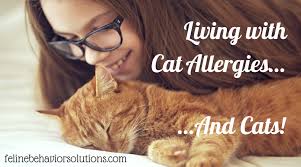 how to live with cat allergies feline