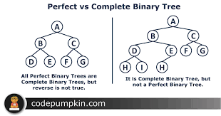 A binary tree is said to be a full binary tree if all nodes except the leaf nodes have either 0 or 2 children. Types Of Binary Tree Binary Tree Introduction Code Pumpkin