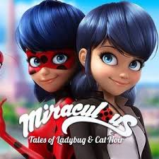 miraculous tales of ladybug and cat