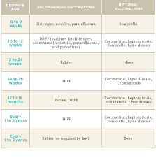 Vaccination Chart Welcome