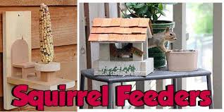 35 squirrel feeder plans free
