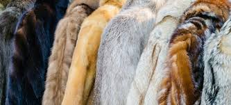 How To Clean Your Expensive Fur Coat